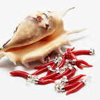 Pendentif Argent Corne Corail Rouge